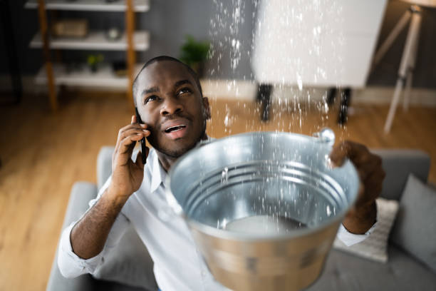 Best Mold removal after water damage  in New Town, ND