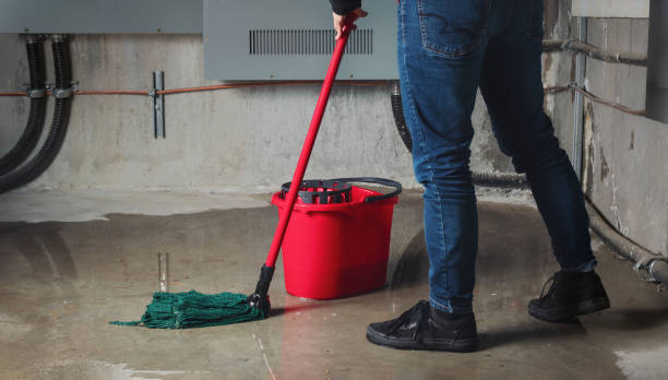 Best Residential water damage restoration  in New Town, ND