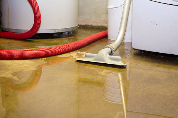 Best Residential water damage restoration  in New Town, ND