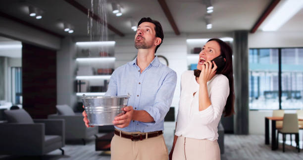 Best Professional water damage repair  in New Town, ND